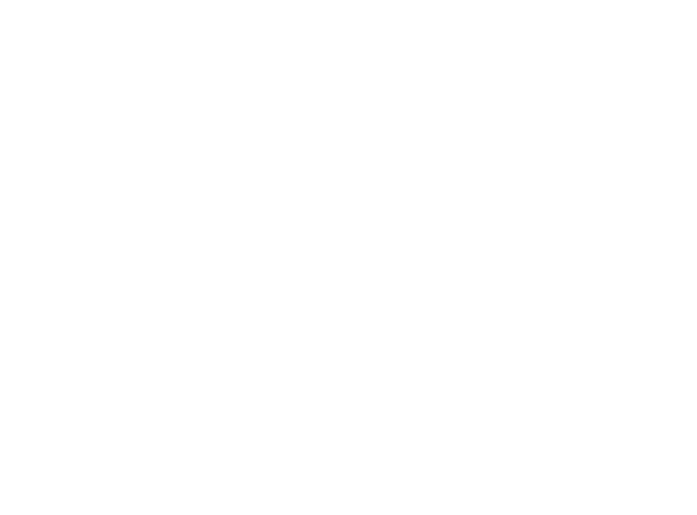 Caveman’s